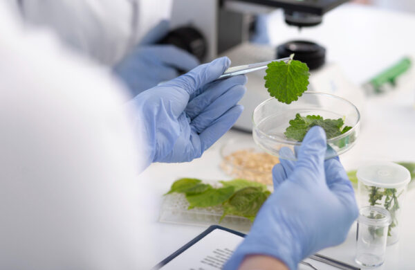 bio pharma